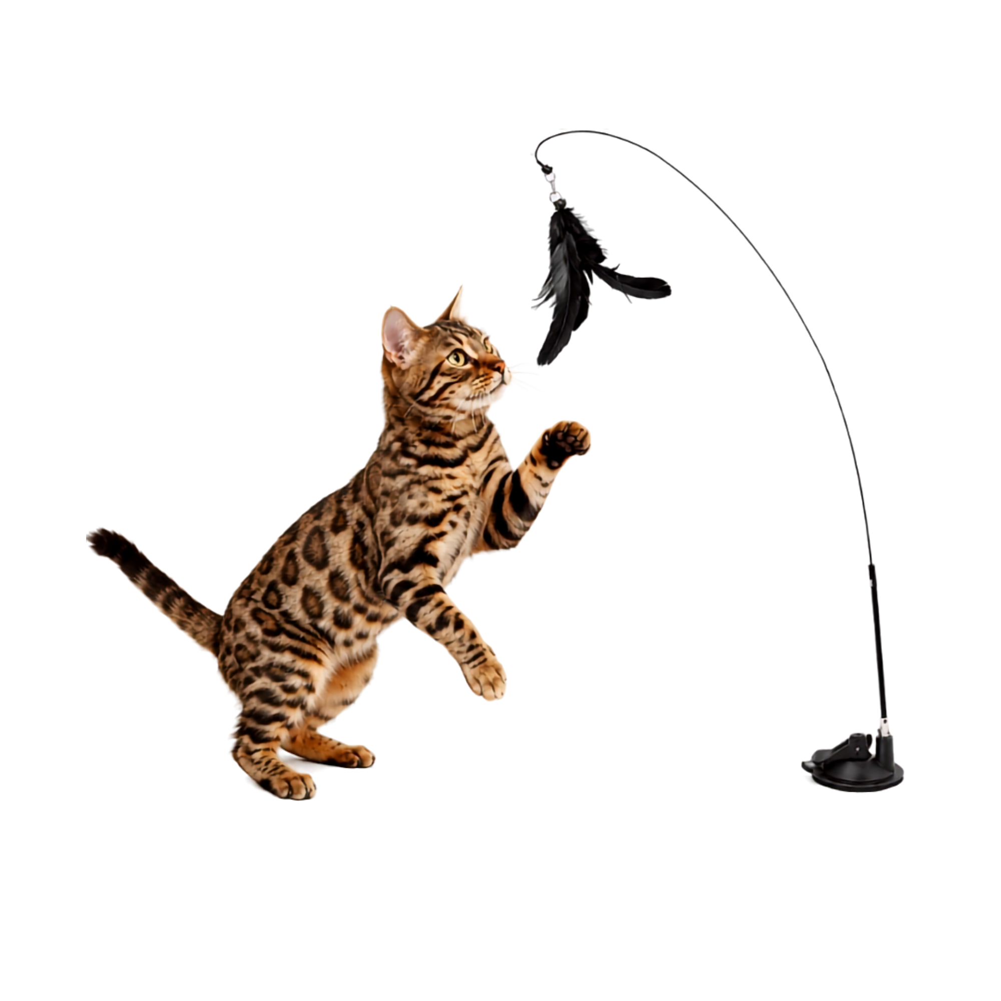 Brinquedo Rotativa Elétrica Borboleta Voadora Para Pet Gato